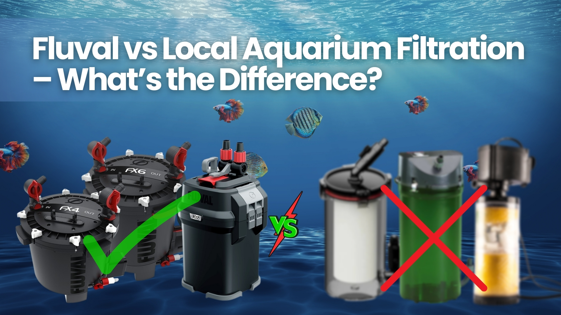Fluval vs Local Aquarium Filters comparison
