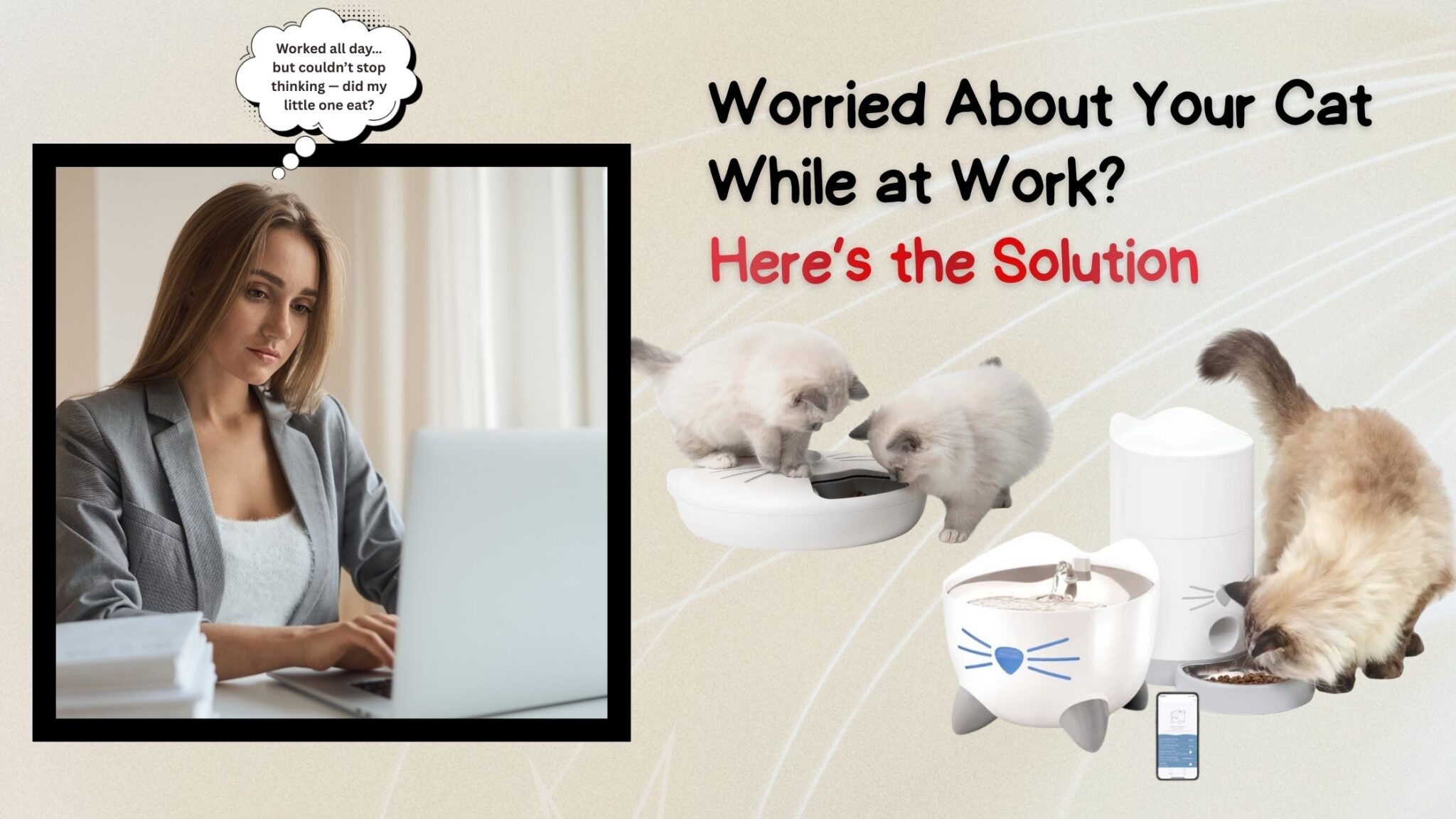 cat care for Working Pet Owners India