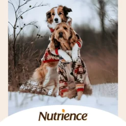 Nutrience