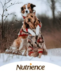 Nutrience
