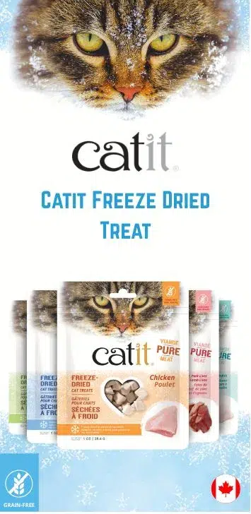catit freeze dried treat