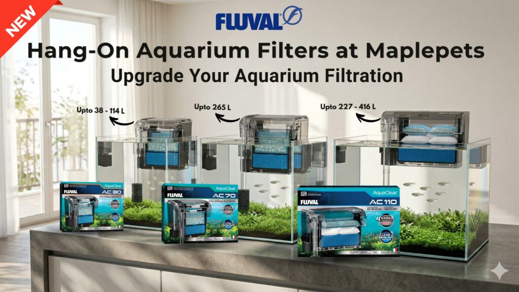 hang on aquarium filter AquaClear AC70 India