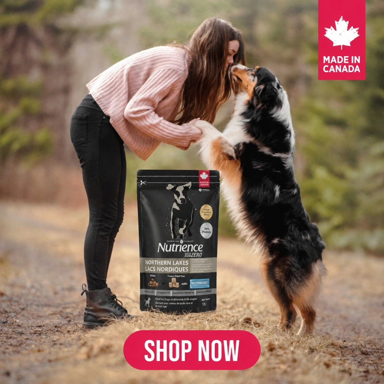 Best Dog Food in india