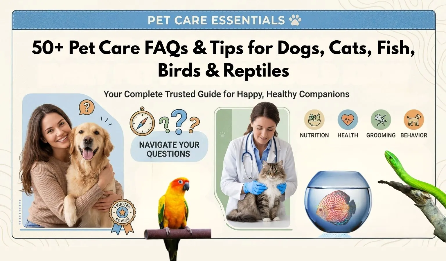 50 pet care faq