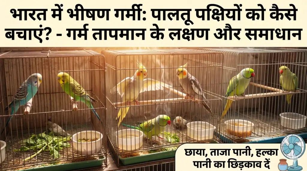 HARi Bird Food