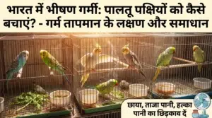 HARi Bird Food