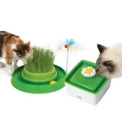 Best Cat toy For cat with mini flower cat drinking fountain