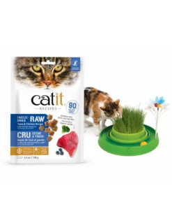 Best Cat Food With Interactive Cat Toy