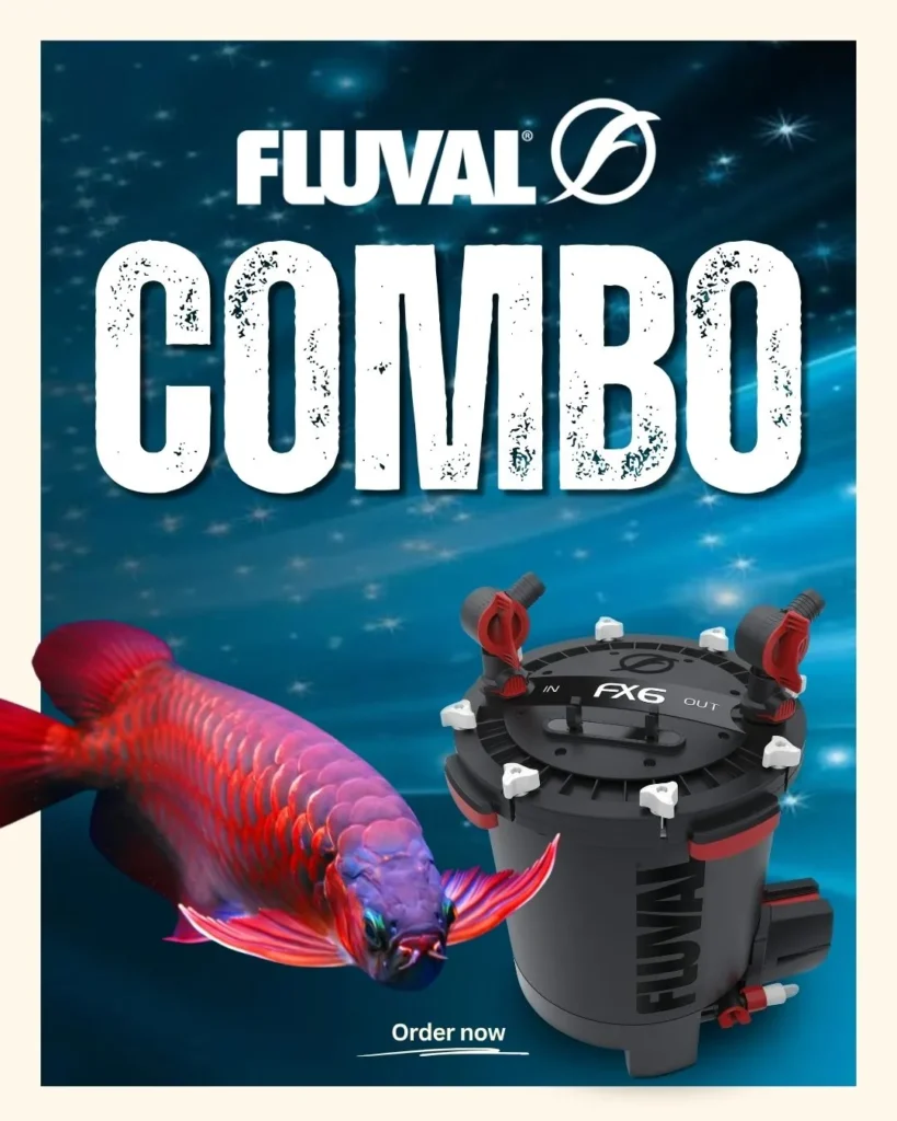 Fluval Combo