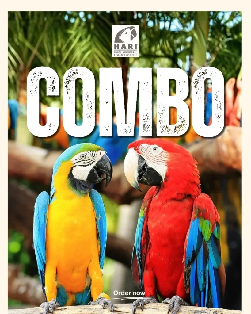Hari Combo