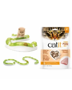 Best Cat Treats & Playground For Cats