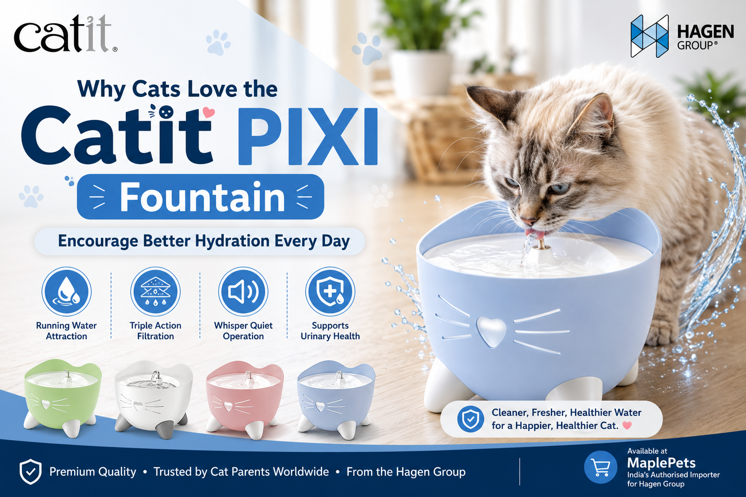 Why Catit Is the World’s No.1 Cat Brand