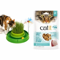 Playfull Cat Grass with ball and Best Treats for cats