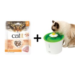 Best Cat Water Drinking Fountain