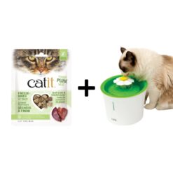 Best Drinking Fountain For Cats with Free Treats for cats
