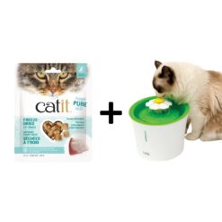 Best Cat Water Fountain
