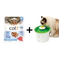Best Cat Water Fountain with Free Treats