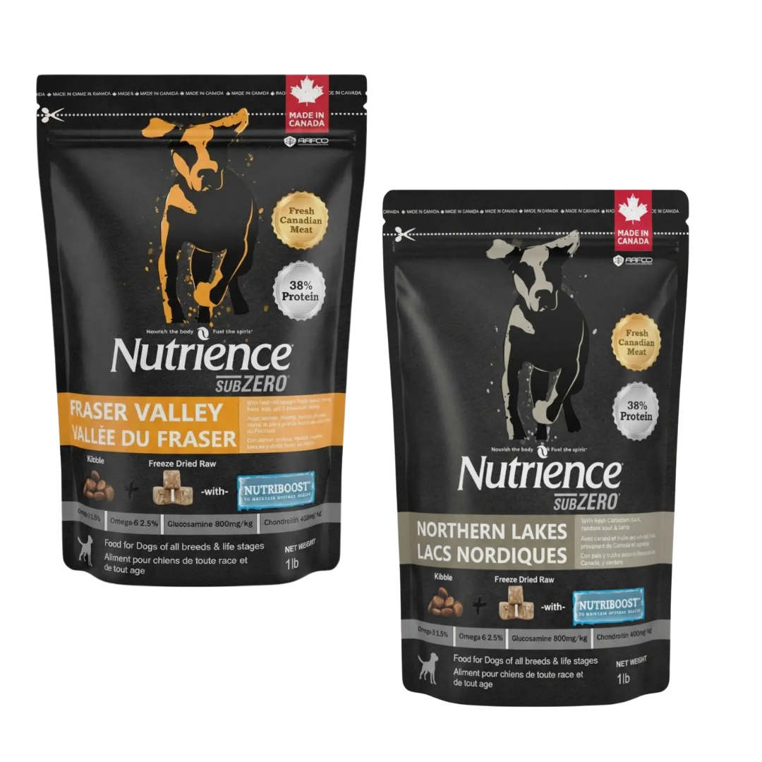 Nutrience Best Dog Food combo