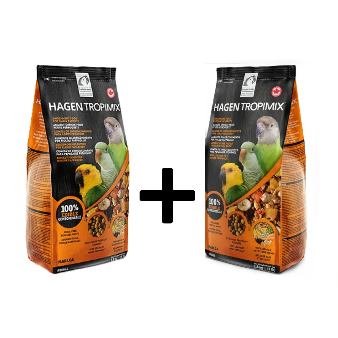 Small parrot combo offer buy 1 get 2nd at 50% off