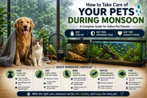 Monsoon Pet Care Guide with Hagen Products