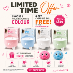 Buy Catit PIXI Fountain and Get Free Chirping Ball Offer