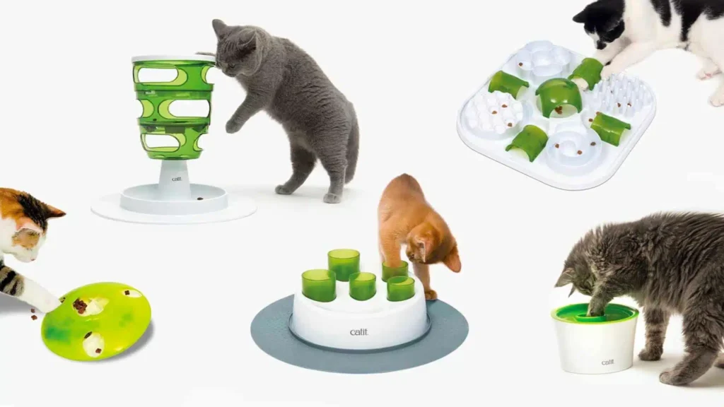 5 Ways a Slow Feeder Will Enrich Your Cat's Life