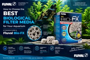 Best Biological Filtration Ceramic Rings for every canister filters