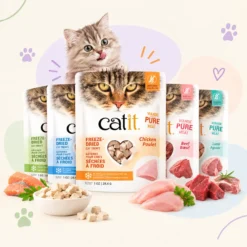 Cat Treats