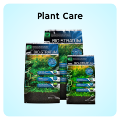 Plant care