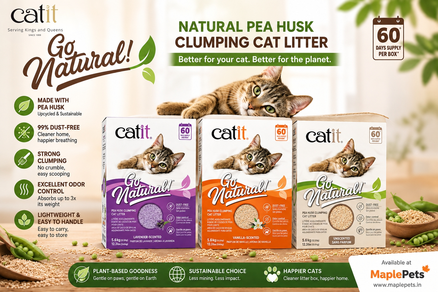 Why Switch to Catit Go Natural Cat Litter? A Healthier, Odor-Free Choice for Indian Cat Parents