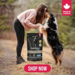 Dog Food