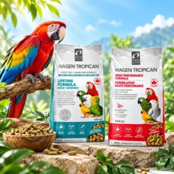 Bird Treats
