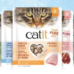 Cat Treats