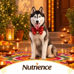 Nutrience