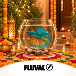 Fluval