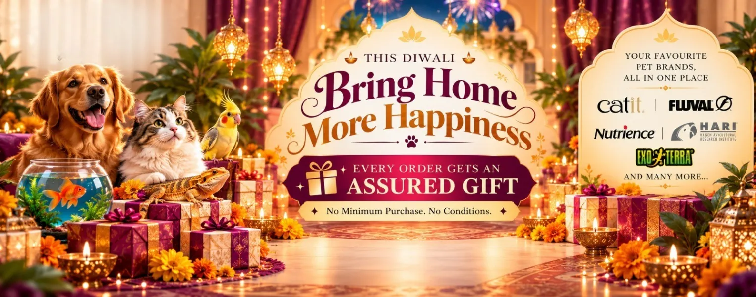 Maplepets Diwali offer