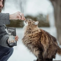 Cat treats & food