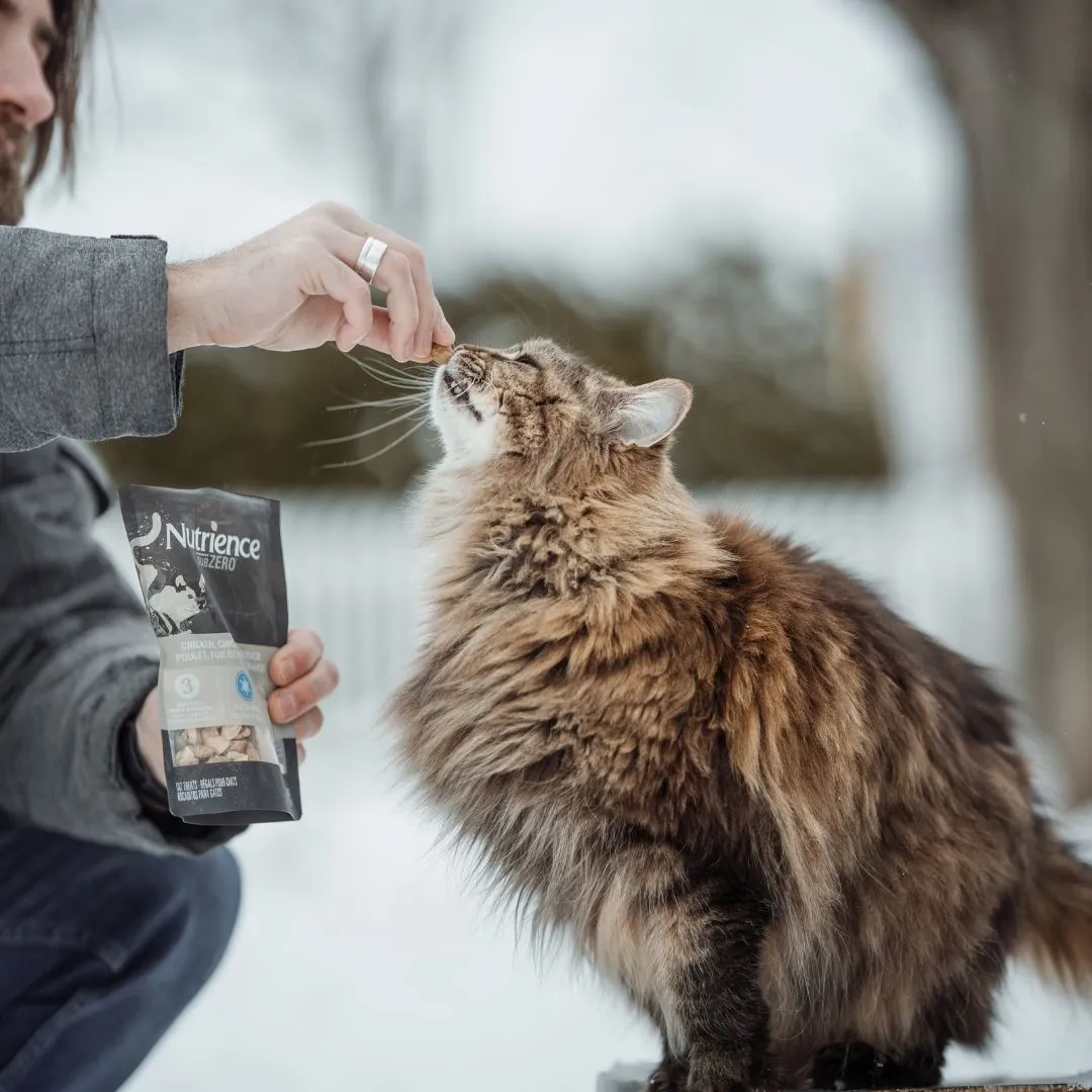 Cat treats & food
